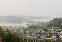 白石仙枰4