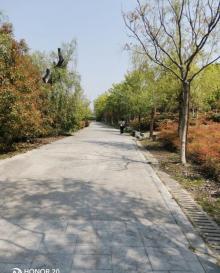 慈溪市森林公园5