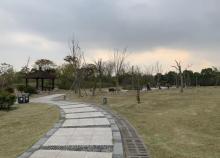 慈溪市森林公园4