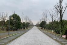 慈溪市森林公园2