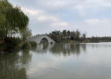 慈溪市森林公园3