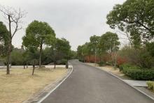 慈溪市森林公园1