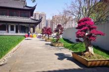 宝庆禅寺6