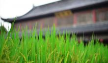 宝庆禅寺5