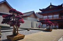宝庆禅寺4