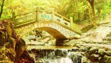北仑森林植物园3