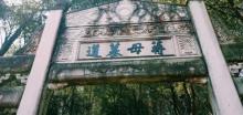 蒋母墓道1