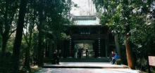 蒋母墓道2