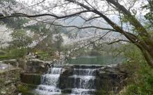 九峰山网岙景区8