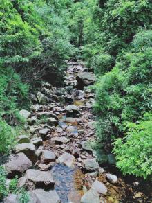 栲栳山11