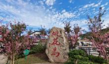 桃花岛风景区3