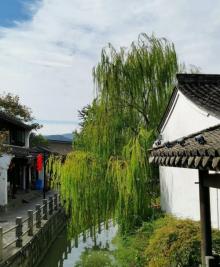 方家河头村1