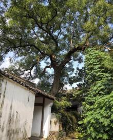 方家河头村16