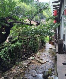 冠佩村13
