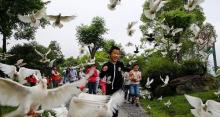 滕头生态旅游区10