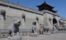 滕头生态旅游区21