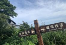 茅洋玻璃栈道11