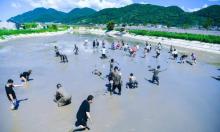 滩涂赶海乐园2
