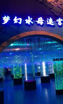 超感梦幻海洋馆4