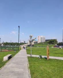 三江口25