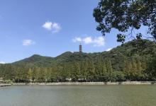 黄贤国家森林公园13