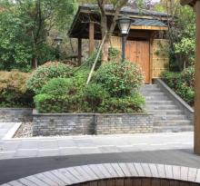 二灵山温泉30