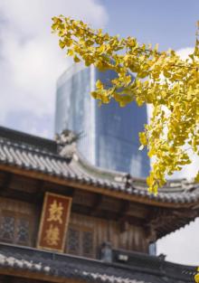 七塔寺1