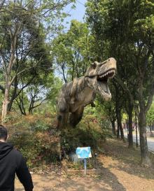 东钱湖水上乐园25
