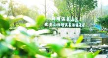 阳明温泉12