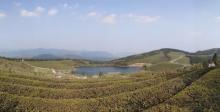 东钱湖福泉山景区13