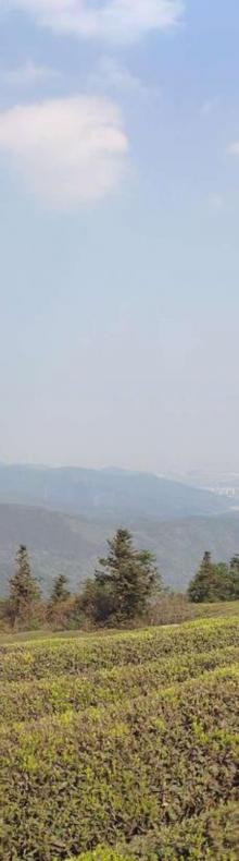 东钱湖福泉山景区14