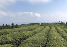 东钱湖福泉山景区27