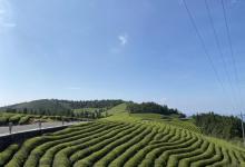东钱湖福泉山景区19