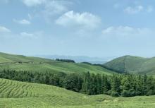 东钱湖福泉山景区28