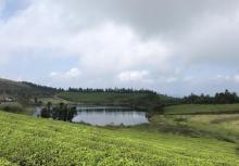 东钱湖福泉山景区26