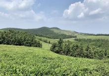 东钱湖福泉山景区30