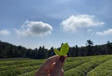 东钱湖福泉山景区18