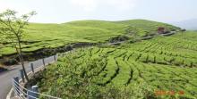 东钱湖福泉山景区12