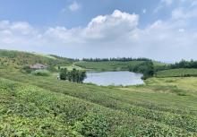 东钱湖福泉山景区29