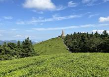 东钱湖福泉山景区10
