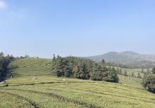 东钱湖福泉山景区8