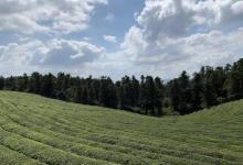 东钱湖福泉山景区25