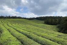 东钱湖福泉山景区23