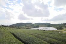 东钱湖福泉山景区9