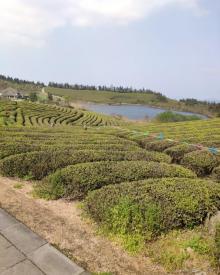 东钱湖福泉山景区15