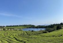 东钱湖福泉山景区16
