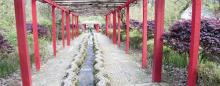 梁皇山景区11