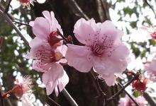 南宋石刻遗址公园18