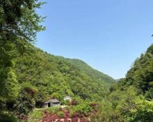 栖霞坑村1