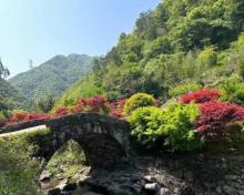 栖霞坑村2